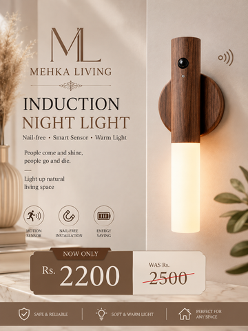 Magnetic Induction Night Light for Home Pakistan